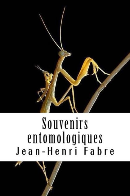 Souvenirs entomologiques: Livre VIII