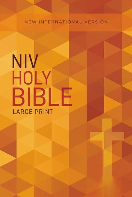 NIV, Outreach Bible, Large Print, Paperback
