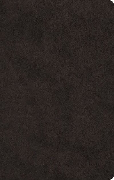 ESV Large Print Value Thinline Bible (TruTone, Black)