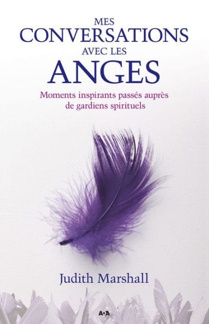 Mes conversations avec les anges: Moments inspirants passés auprès de gardiens spirituels