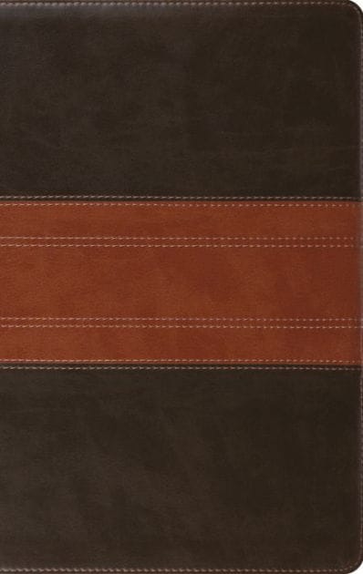 ESV Large Print Personal Size Bible, Red Letter (TruTone, Forest/Tan, Trail Design)