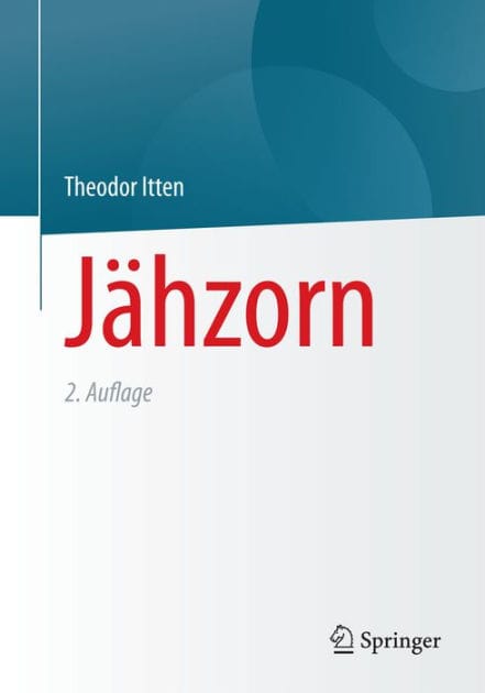 J�hzorn: Psychotherapeutische Antworten auf ein unberechenbares Gef�hl