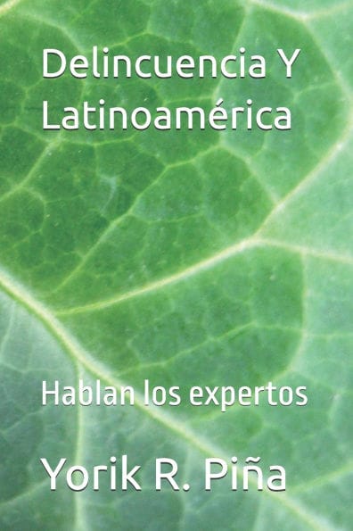 Delincuencia Y Latinoamerica: Hablan los expertos