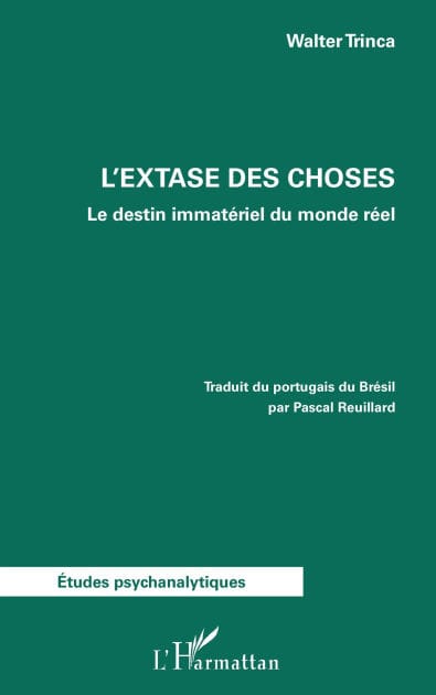 L'extase des choses: Le destin immatériel du monde réel