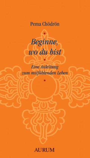 Beginne, wo du bist: Eine Anleitung zum mitfühlenden Leben