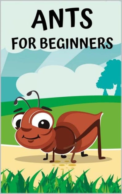 Ants for beginners: Guide to successfully keep ants in an ant farm for novices