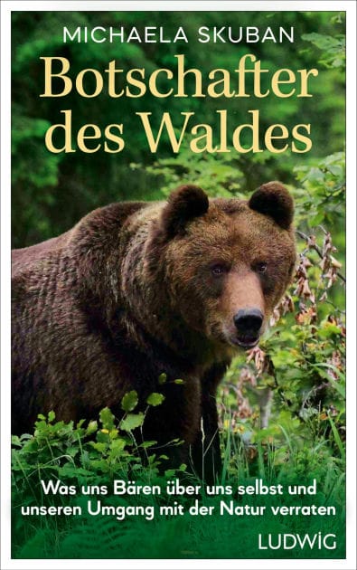 Botschafter des Waldes: Was uns Bären über uns selbst und unseren Umgang mit der Natur verraten