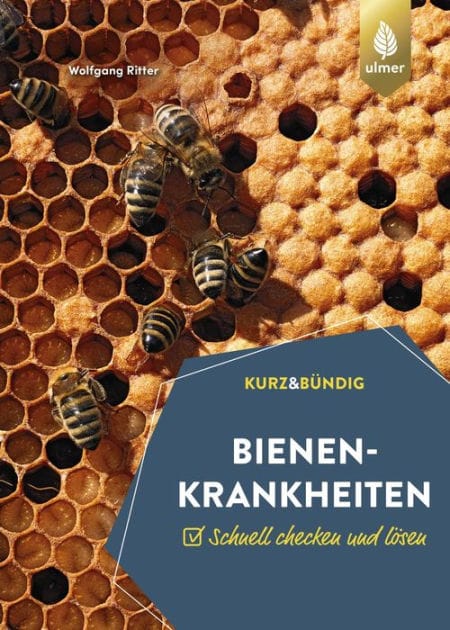 Bienenkrankheiten: Schnell checken und lösen. KURZ UND BÜNDIG