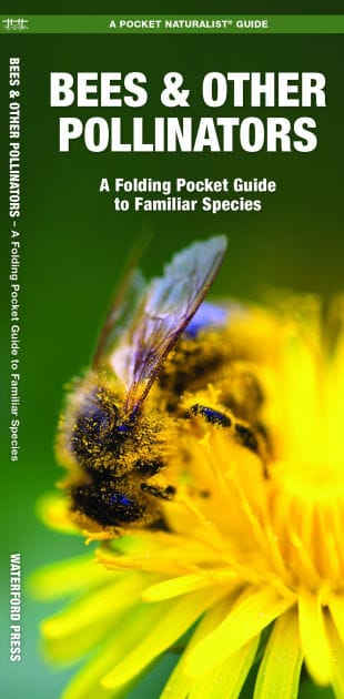 Bees & Other Pollinators: A Folding Pocket Guide to Familiar Species
