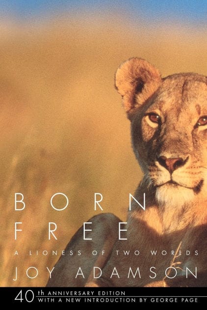 Born Free: A Lioness of Two Worlds