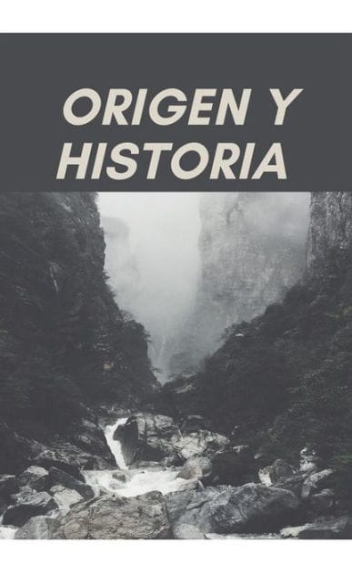 Origen y Historia