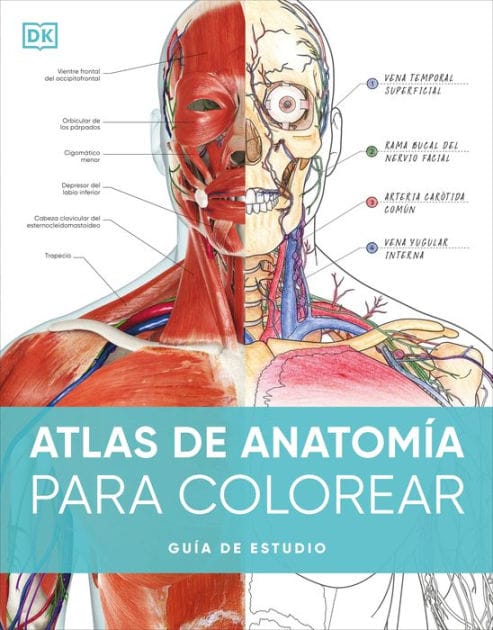 Atlas de anatom?a para colorear (The Human Body Coloring Book): Gu?a de estudio