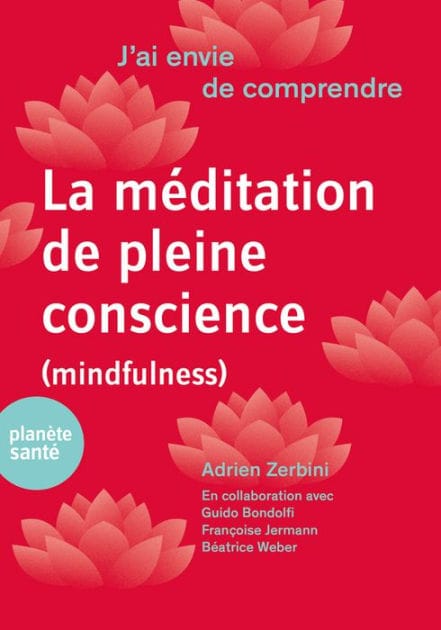 J'ai envie de comprendre.La méditation de pleine conscience (mindfulness)