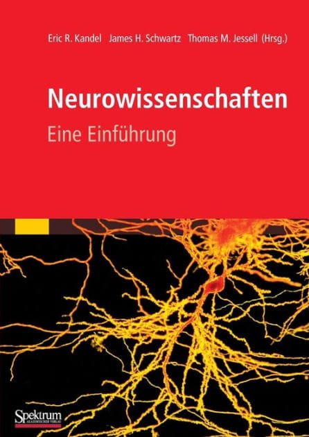 Neurowissenschaften: Eine Einführung