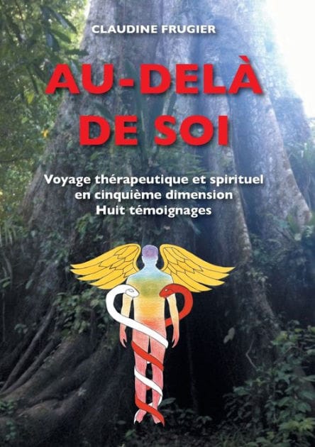 Au-del� de Soi: Voyage th�rapeutique et spirituel en cinqui�me dimension Huit t�moignages sur la m�decine de l'Ayahuasca en Amazonie chez les Indiens Shipibos-Conibos