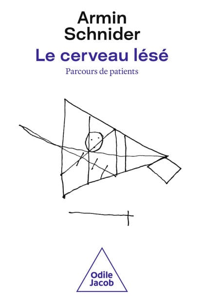 Le Cerveau lésé: Parcours de patients : fonctions atteintes et récupération