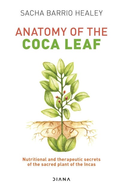 Anatomy of the Coca Leaf
