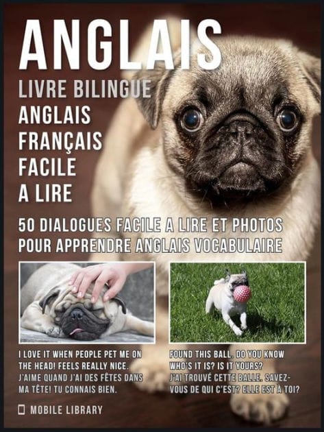 Anglais - Livre Bilingue Anglais Français Facile A Lire: 50 dialogues facile a lire et photos pour apprendre anglais vocabulaire