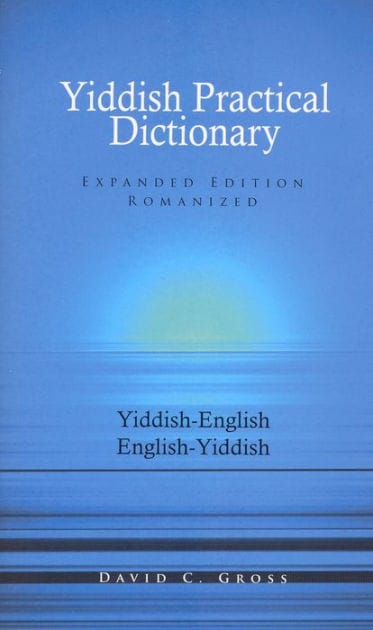 English-Yiddish/Yiddish-English Practical Dictionary (Expanded Romanized Edition)